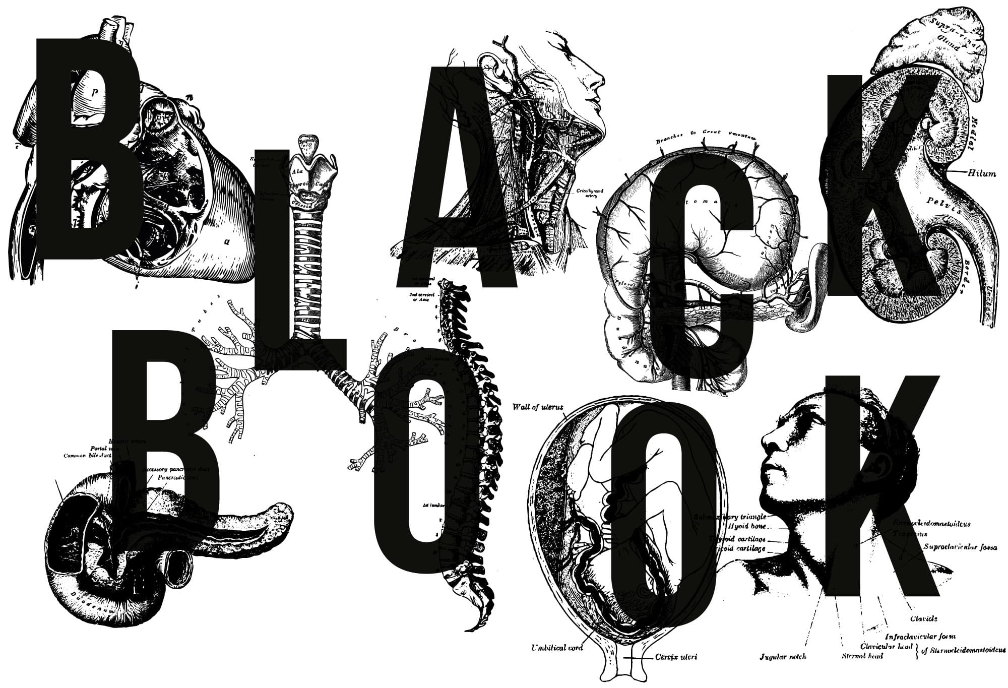 Grays Anatomy Illustrations used in Blackbook